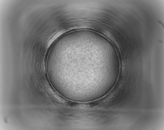 X0000102510789200808291733