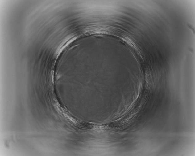 X0000102510790200808291733
