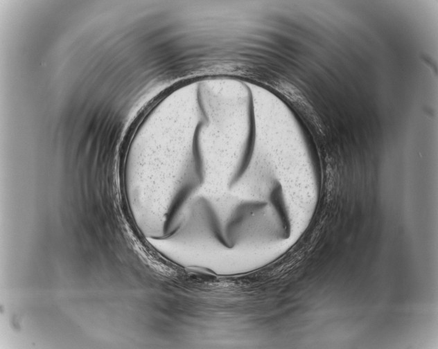 X0000102510792200808291733
