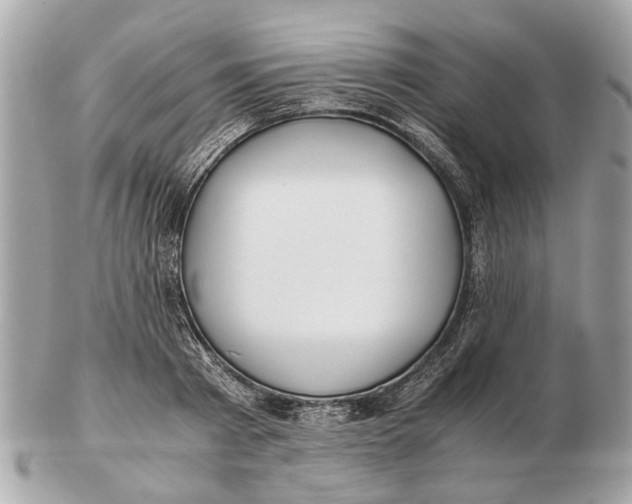 X0000102510793200808291733