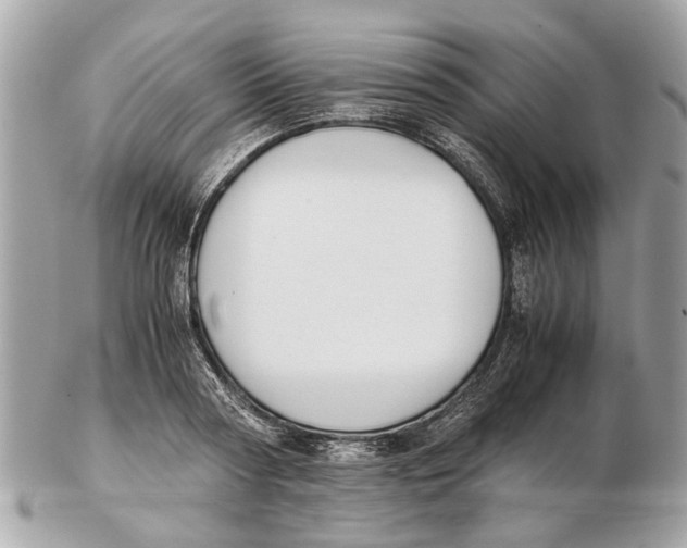 X0000102510794200808291733