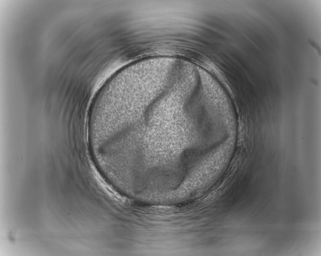 X0000102510795200808291733