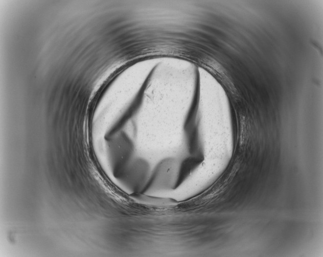 X0000102510796200808291733