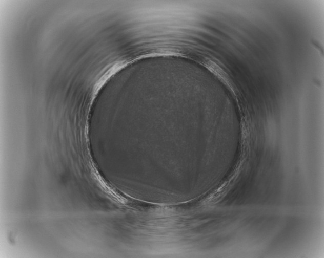 X0000102510797200808291733