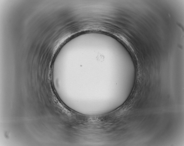 X0000102510799200808291733