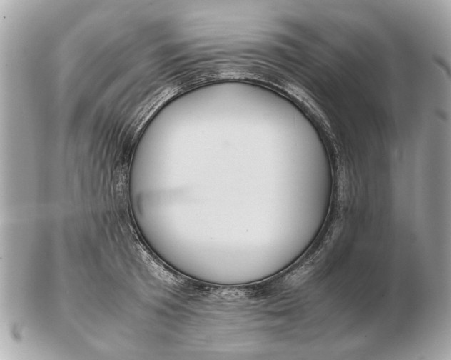 X0000102510801200808291733