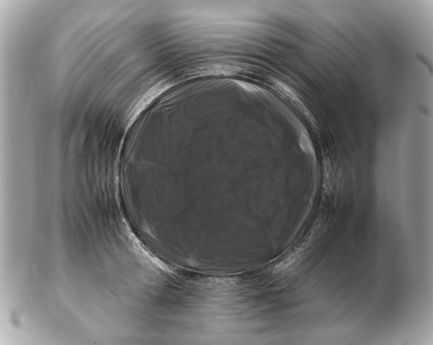 X0000102510802200808291733