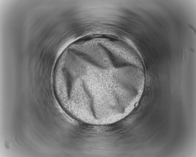 X0000102510803200808291733