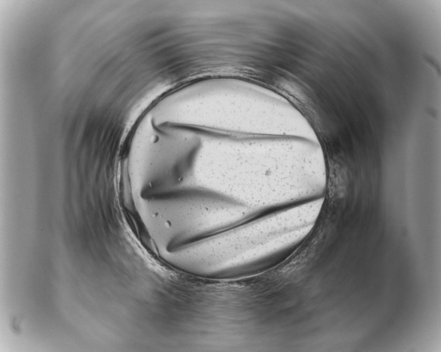 X0000102510804200808291733