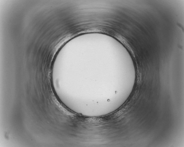X0000102510805200808291733