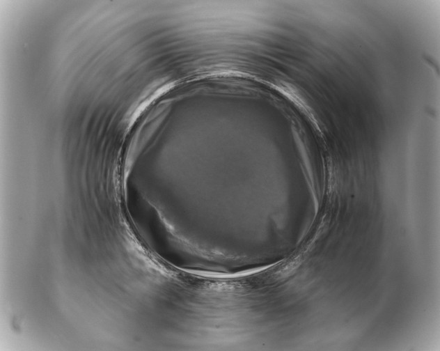 X0000102510806200808291732