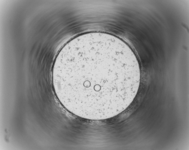 X0000102510807200808291732