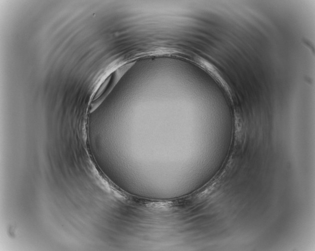 X0000102510810200808291732