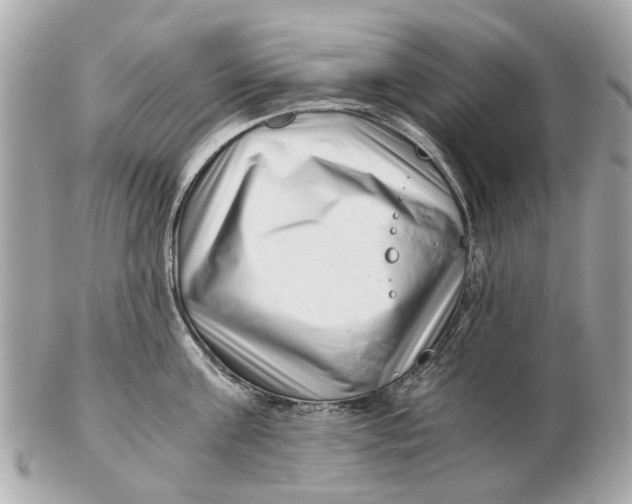 X0000102510811200808291732