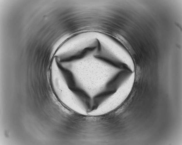 X0000102510812200808291732