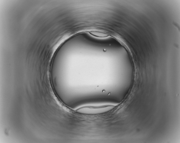 X0000102510813200808291732