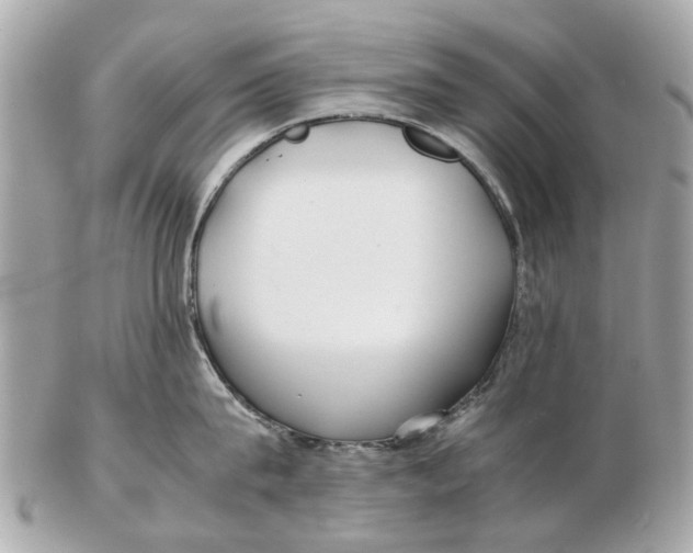 X0000102510815200808291732