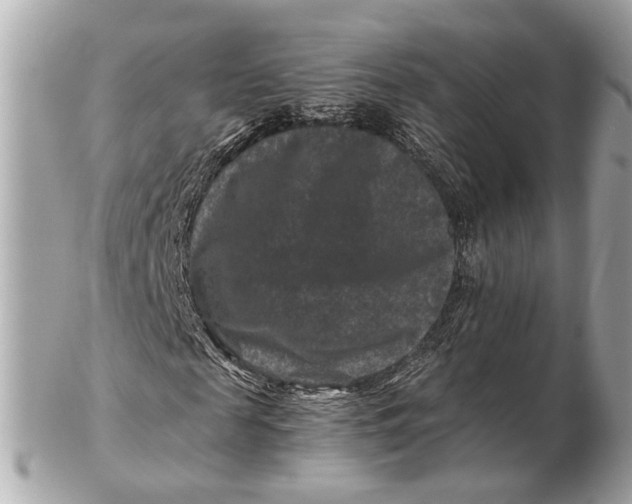 X0000102510817200808291732