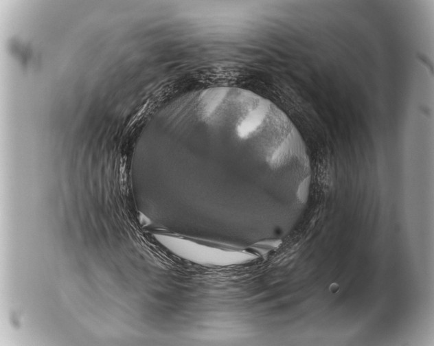 X0000102510818200808291732