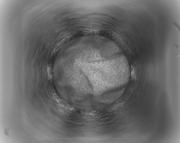 X0000102510819200808291732