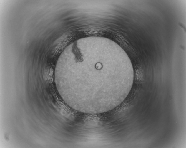 X0000102510820200808291732