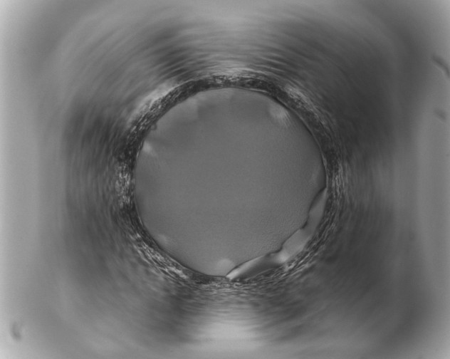 X0000102510822200808291732