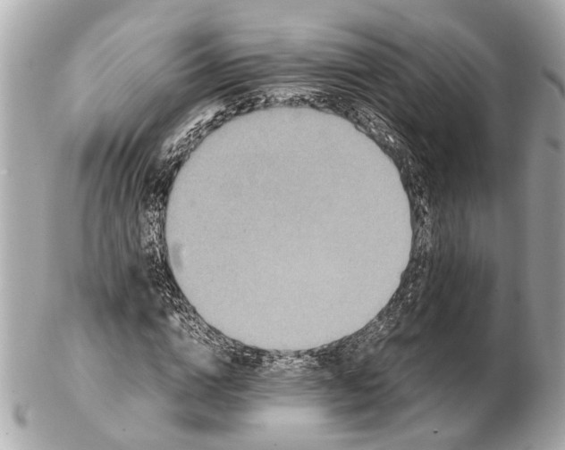 X0000102510824200808291732