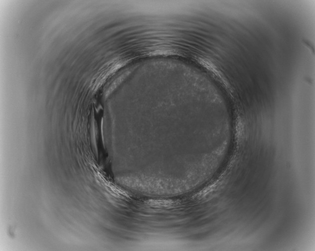 X0000102510825200808291732