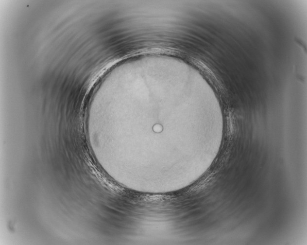 X0000102510828200808291732