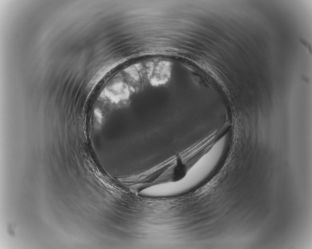 X0000102510830200808291732