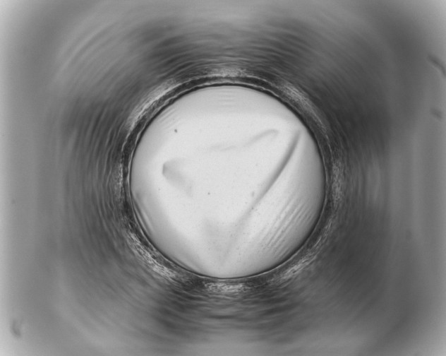 X0000102510831200808291732