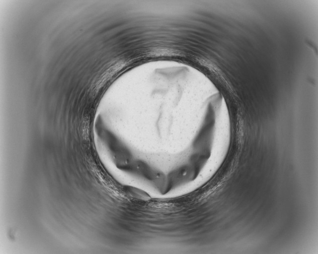 X0000102510833200808291732