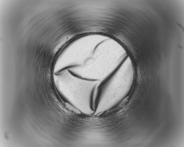 X0000102510834200808291732