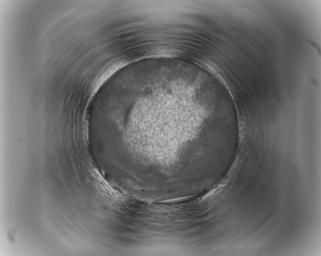 X0000102510835200808291732
