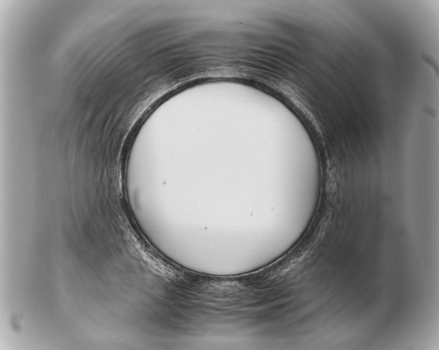 X0000102510837200808291732