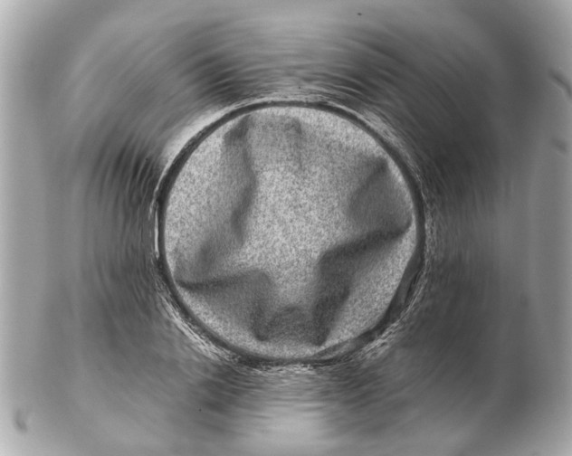 X0000102510838200808291732