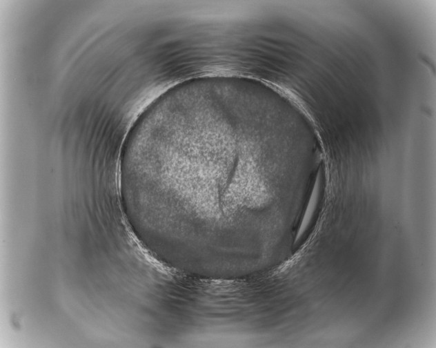 X0000102510839200808291732