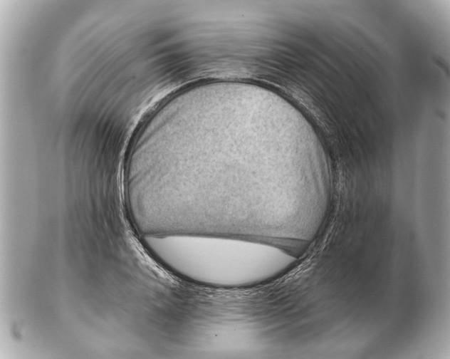 X0000102510840200808291732