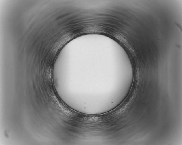 X0000102510841200808291732
