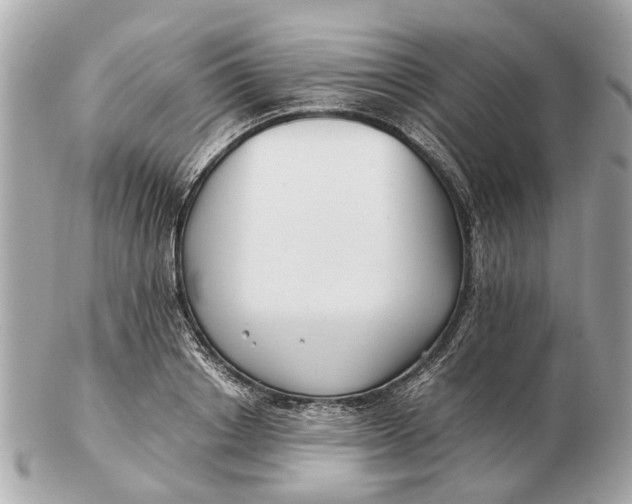 X0000102510842200808291732