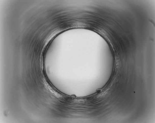 X0000102510843200808291732