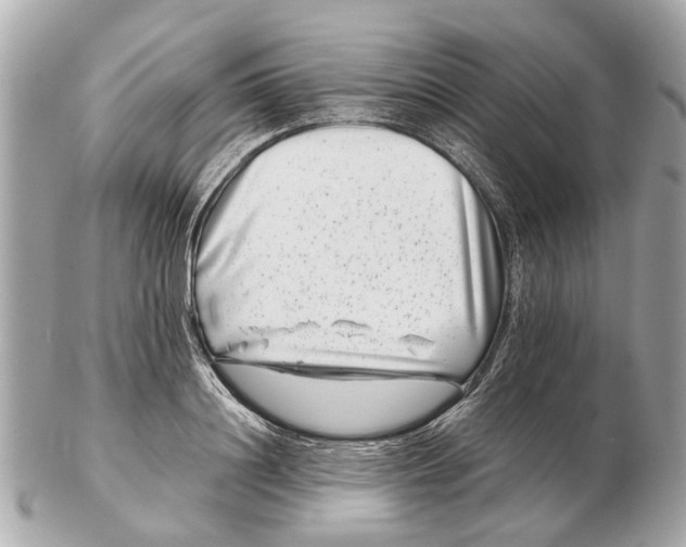 X0000102510844200808291732