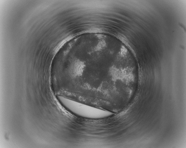 X0000102510845200808291732