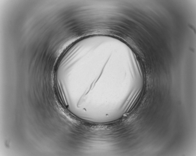 X0000102510846200808291732
