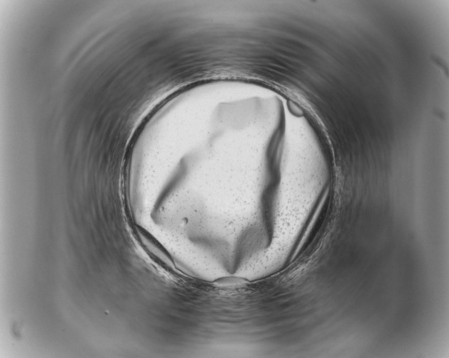X0000102510847200808291732