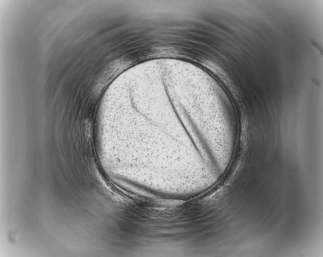 X0000102510849200808291732