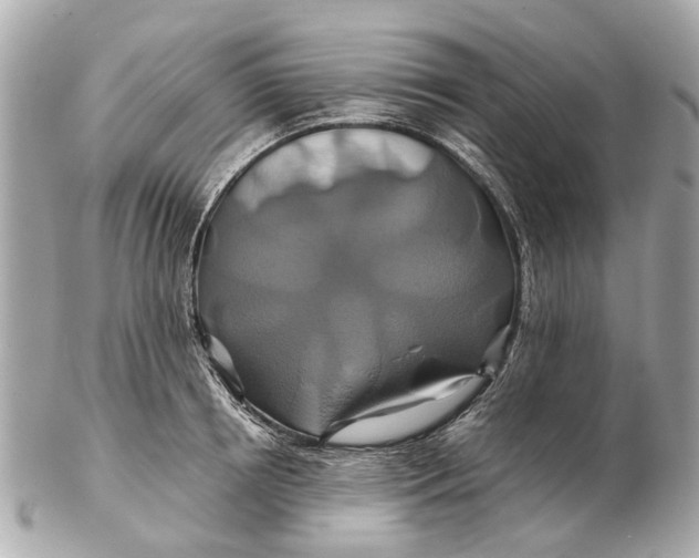 X0000102510850200808291732