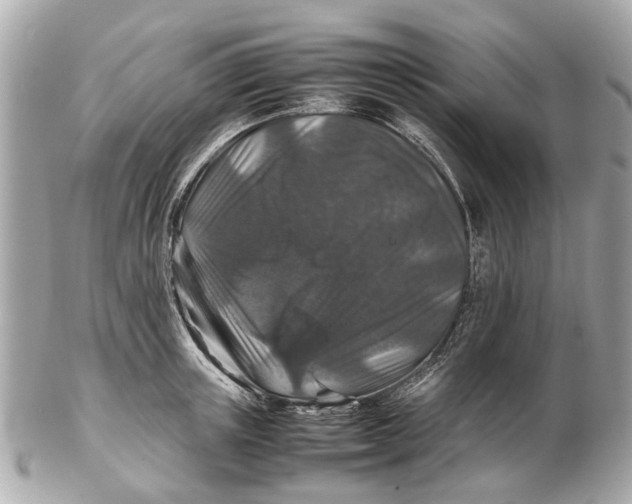 X0000102510851200808291732
