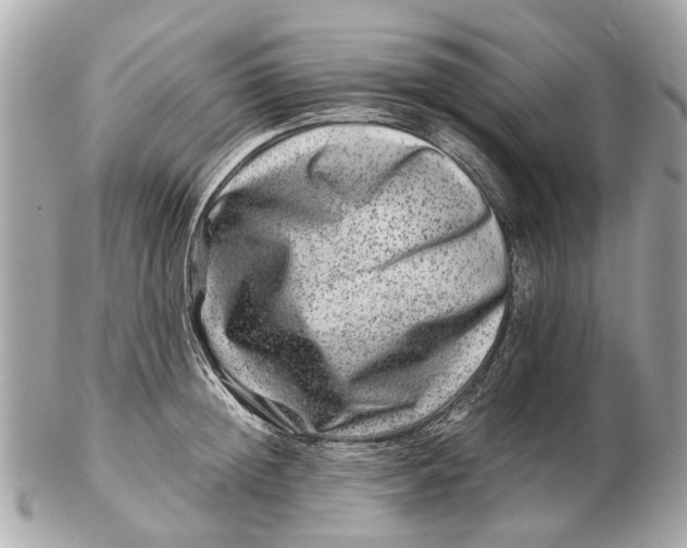 X0000102510852200808291732
