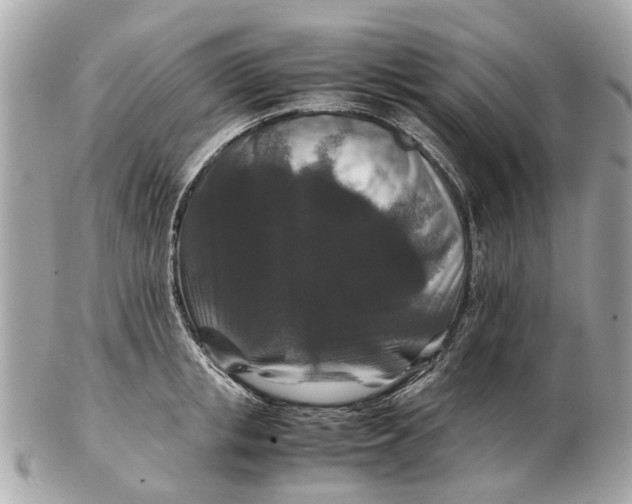 X0000102510853200808291732